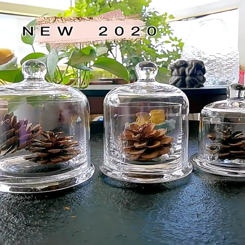 ガラス製保存瓶 エターナルライフフラワー 8色 アロマセラピ - Candle Making Jars With Lids のレビューと価格